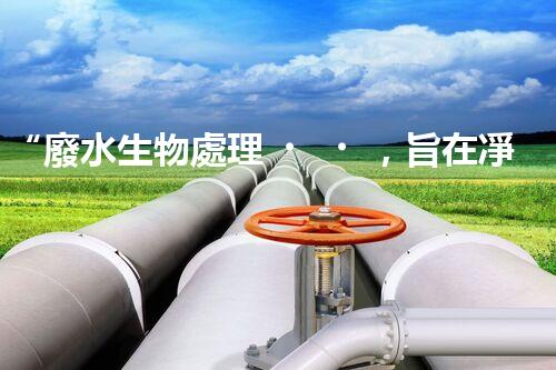 “廢水生物處理，旨在凈化水源，守護碧水藍天”